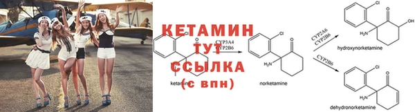 ГАЛЛЮЦИНОГЕННЫЕ ГРИБЫ Строитель