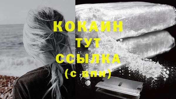 спиды Белокуриха